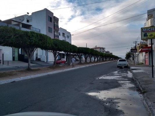 SECRETARIA DA AGRICULTURA SEGUE COM AS AÇÕES DE PODAS EM ITABAIANA