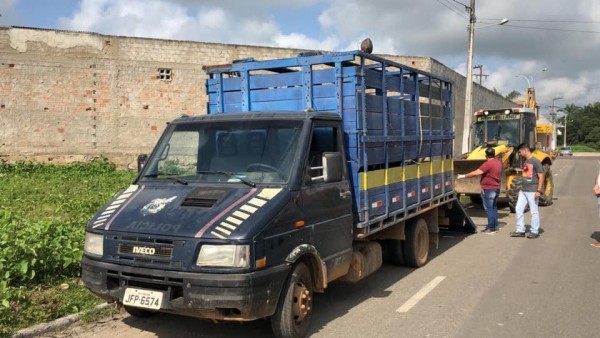 CAMINHÃO BOIADEIRO DO MUNICÍPIO RECOLHE ANIMAIS SOLTOS EM ESTRADAS
