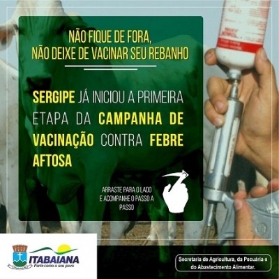 PREFEITURA DE ITABAIANA INFORMA: JÁ COMEÇOU A CAMPANHA DE VACINAÇÃO CONTRA A FEBRE AFTOSA DE 2020