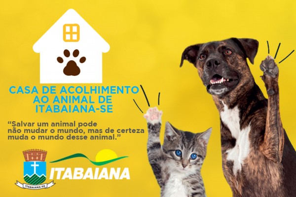 PREFEITA CARMINHA MENDONÇA INICIA PROJETO DE POLÍTICAS PÚBLICAS DA CAUSA ANIMAL