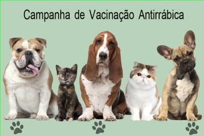Dia D da Vacinação Antirrábica será neste sábado, 18