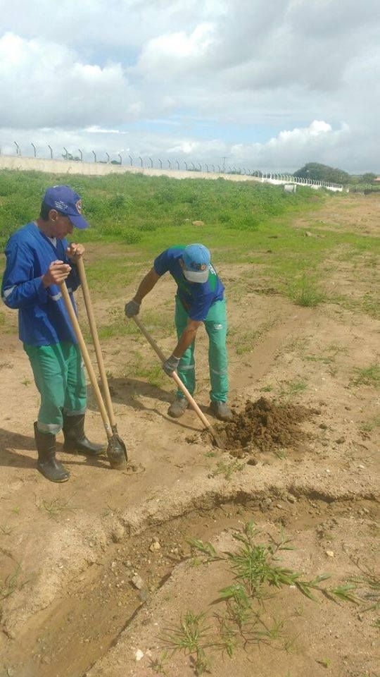 PREFEITURA DE ITABAIANA FAZ PLANTIO DE 500 MUDAS NO NOVO MATADOURO