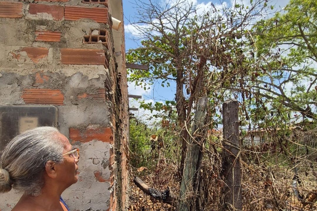 Prefeitura de Itabaiana alerta sobre riscos de quedas de árvores durante chuvas intensas