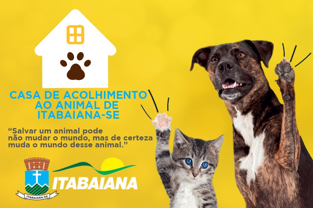 PREFEITA CARMINHA MENDONÇA INICIA PROJETO DE POLÍTICAS PÚBLICAS DA CAUSA ANIMAL