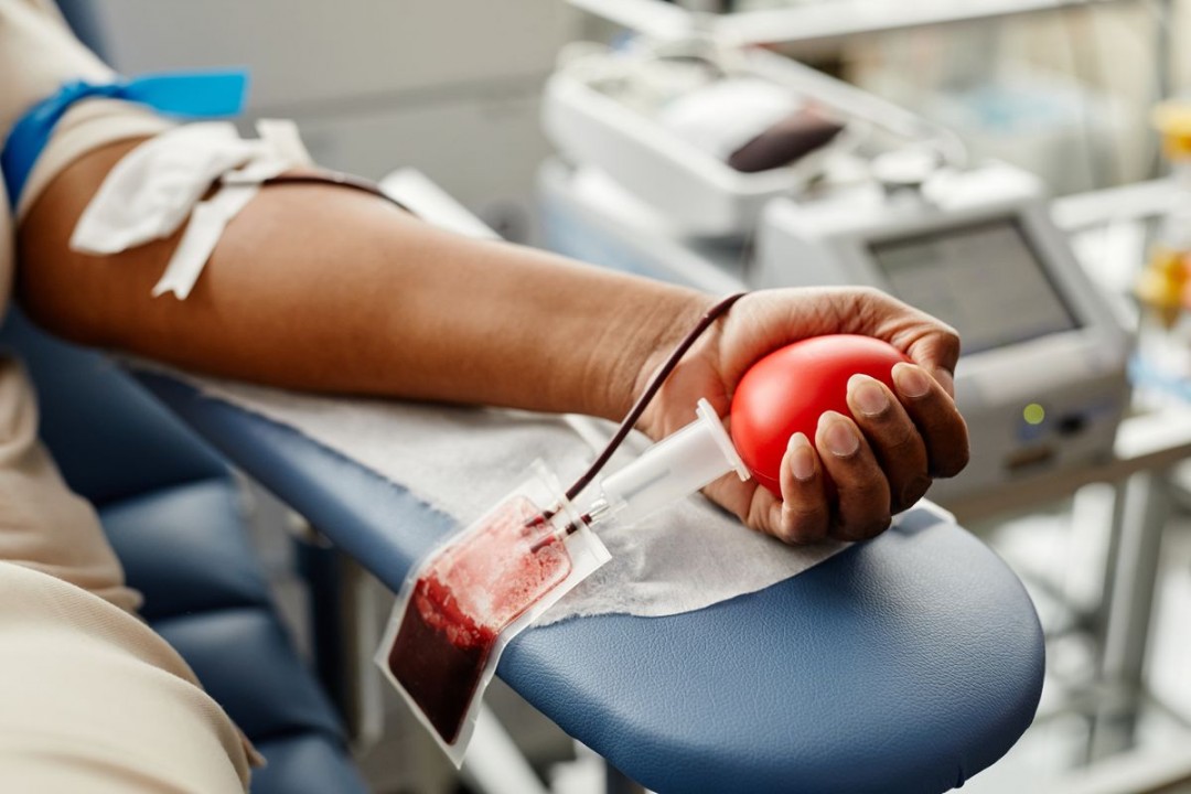 MUTIRÃO PELA VIDA: doação de sangue acontece neste sábado, 26, na UBS do Sítio Porto