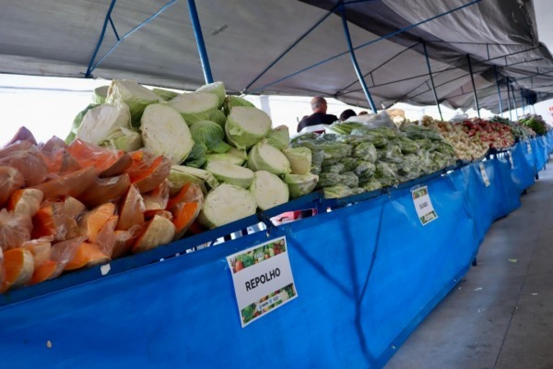 Prefeitura de Itabaiana lança o Programa de Aquisição de Alimentos Municipal, com o objetivo de fortalecer a agricultura familiar local