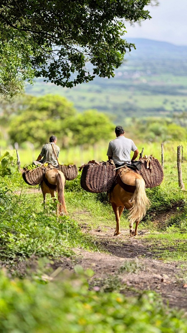 Itabaiana em foco: concurso revela talentos e valoriza tradições