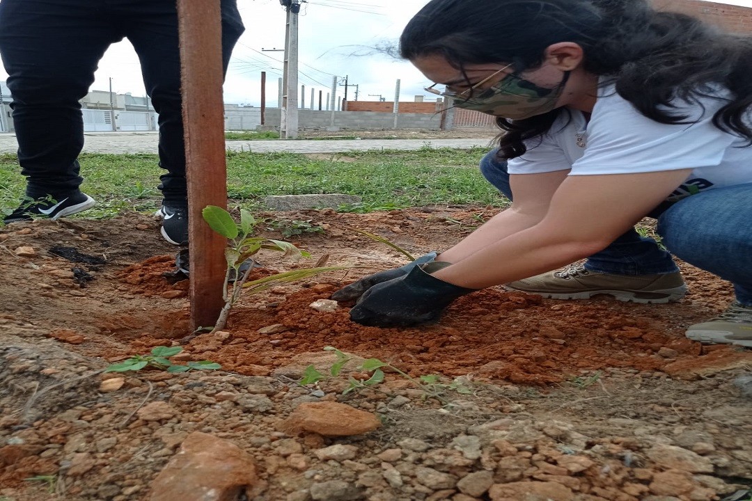 Itabaiana Mais Verde já alcança 354 árvores plantadas