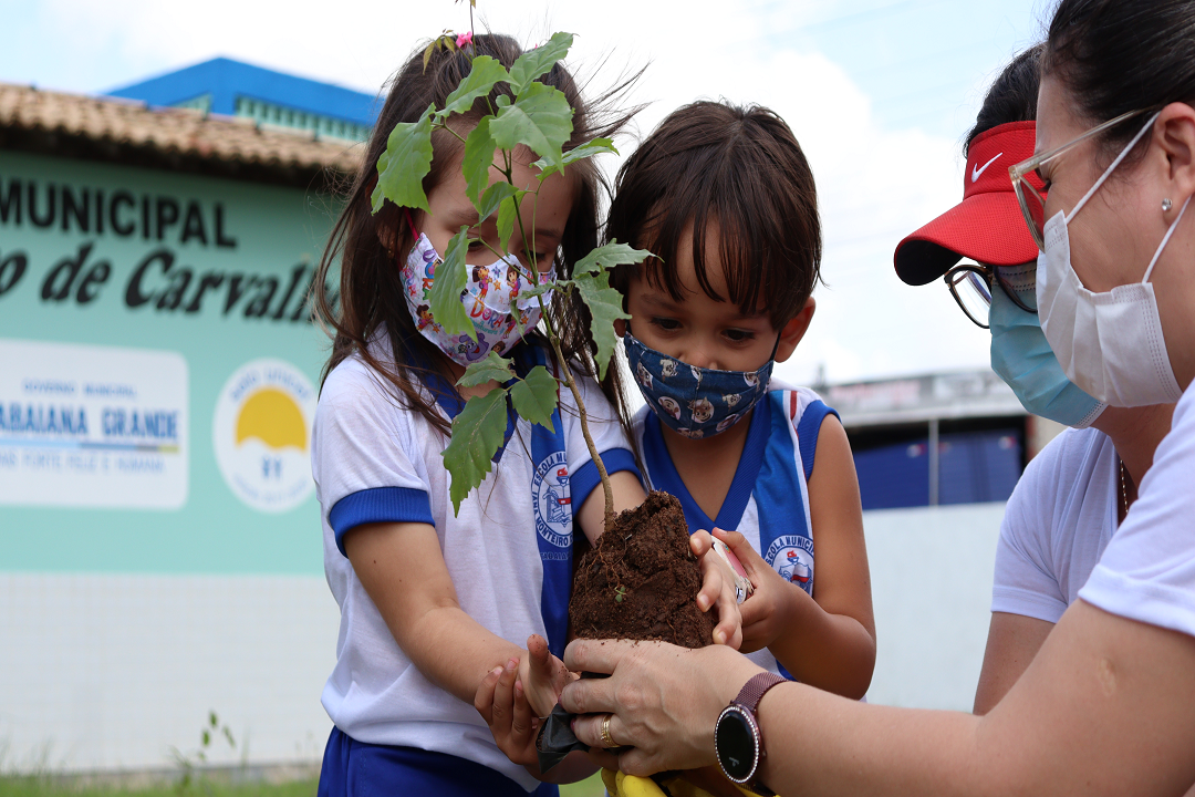 Itabaiana Mais Verde: Secretaria do Meio Ambiente realiza plantio de 40 mudas de árvores na Escola municipal Iana Monteiro