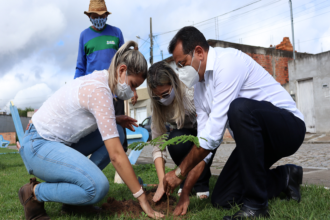 Semana do Meio Ambiente: Itabaiana realizou plantio de árvores na Praça Santa Clara