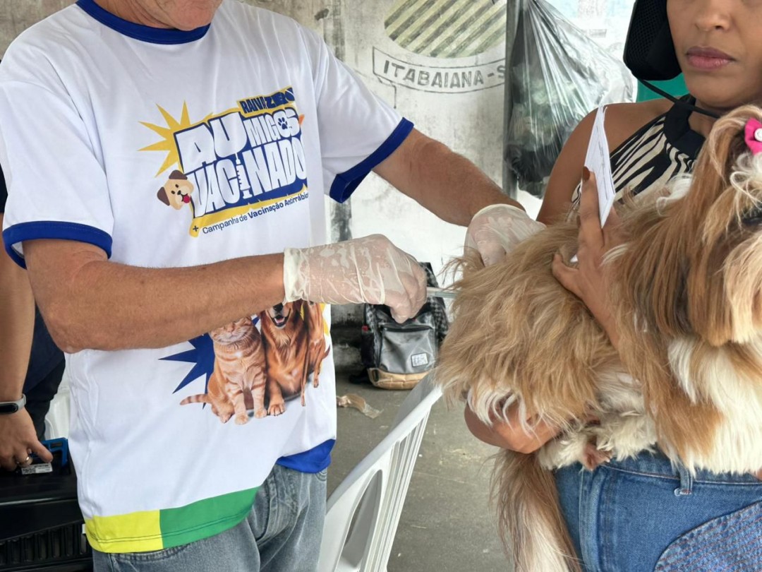 Mais de 5 mil cães e gatos foram vacinados em Itabaiana no Dia D da Campanha de Vacinação Antirrábica